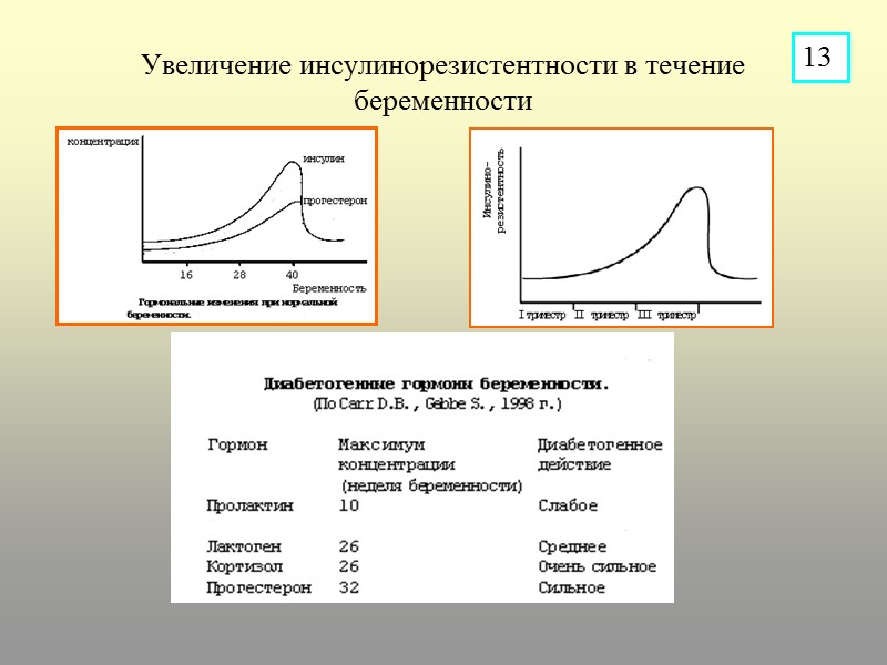 Увеличение инсулинорезистентности в течение беременности 13